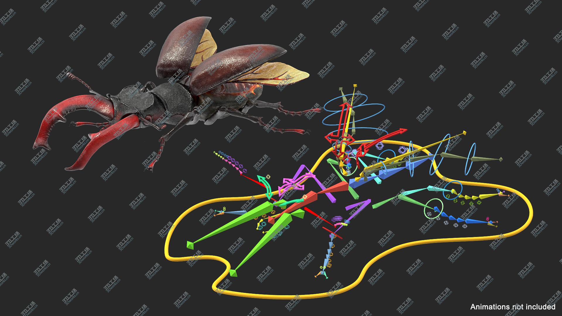 images/goods_img/202104093/3D model Lucanus Cervus Stag Beetle Rigged/4.jpg